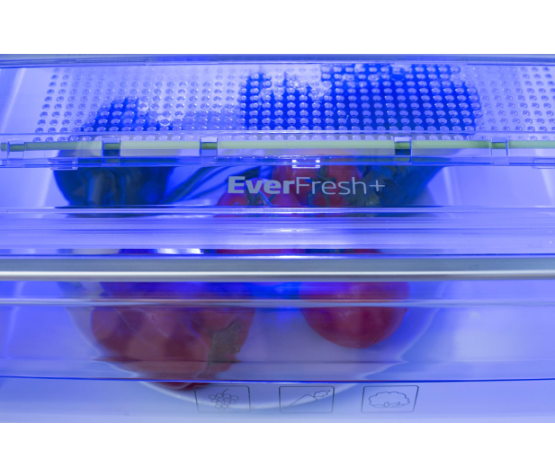 Beko LODÓWKA BEKO RCNA366E30ZXB [###] - 1389178 - zdjęcie 11